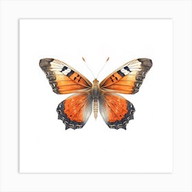 Butterfly 1 Art Print