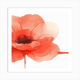 Red Poppy Watercolor Painting Art Print