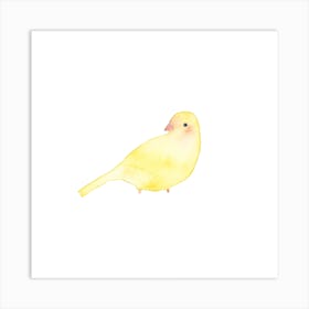 Blushing Bird Yellow Square Art Print