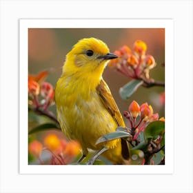 Yellow Warbler 2 Art Print