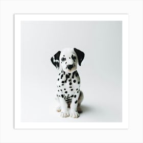 Dalmatian dog 1 Art Print