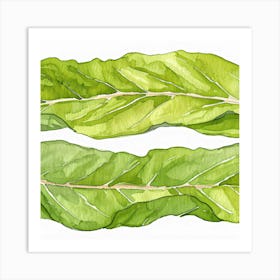 Kale Leaves Art Print