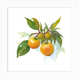 Loquat 1 Art Print