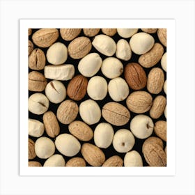 Nuts On A Black Background 2 Art Print