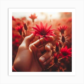 Red Flowers In A Field Art Print