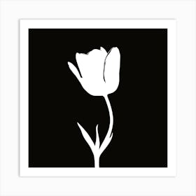 Tulip 2 Art Print