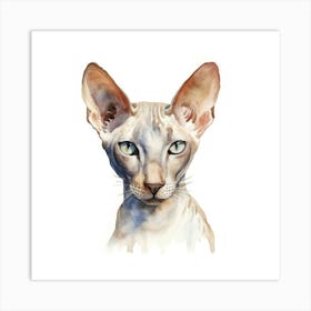 Peterbald Cat Portrait 3 Art Print