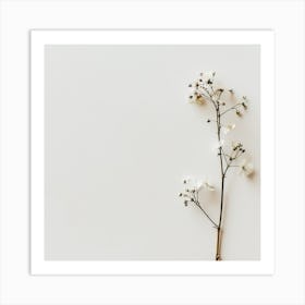 White Flower Isolated On White Background Art Print