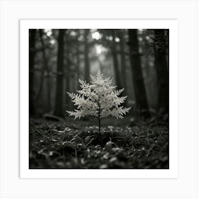 Tree In The Forest 2 Art Print