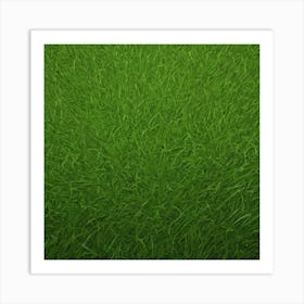 Green Grass 56 Art Print