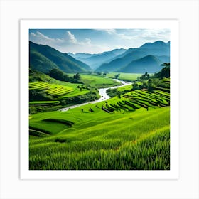 Rice Fields In Vietnam 1 Art Print