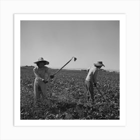Nyssa, Oregon, Fsa (Farm Security Administration) Mobile Camp, Japanese American Farm Worker By Russell Lee 2 Art Print