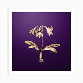 Gold Botanical Netted Veined Amaryllis on Royal Purple n.0564 Art Print