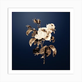 Gold Botanical Provence Rose on Midnight Navy n.4415 Art Print