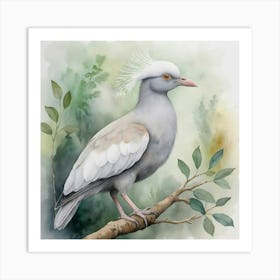 Kagu bird Art Print