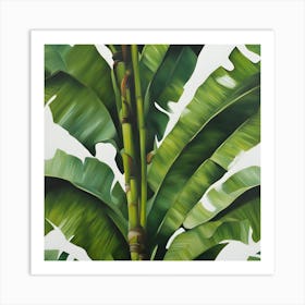 Banana Leaf Art Print