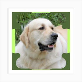 Golden Retriever Art Print