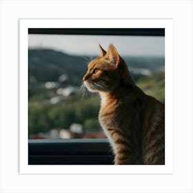 Cat Looking Out Of Window Art Print