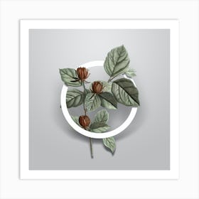 Vintage Carolina Allspice Flower Minimalist Botanical Geometric Circle on Soft Gray n.0482 Art Print