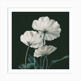 White Flowers Art Print