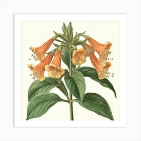 Foxglove Art Art Print