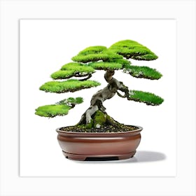 Bonsai Tree 1 Art Print