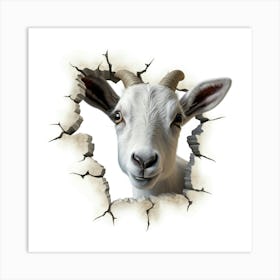 Goat Peeking Through A Hole 2 Art Print