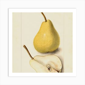 Fruit 4 Art Print