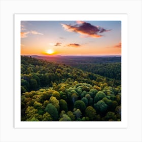 Sunset In The Forest Art Print