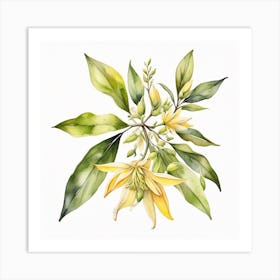 Sprig of ylang-ylang 4 Art Print