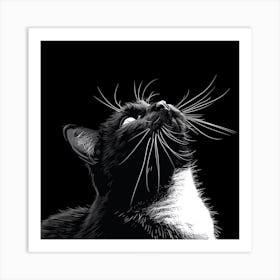 Black And White Cat Looking Up Art Print