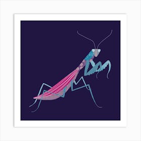 Praying Mantis in the Dark Art Print