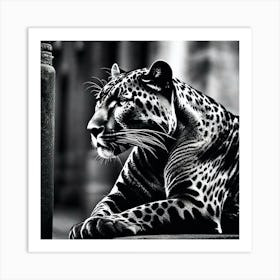 Leopard Wallpaper Art Print