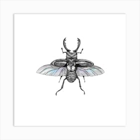 Beetle Square Art Print