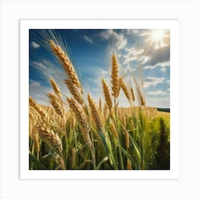 Wheat Field With Sun Art Print