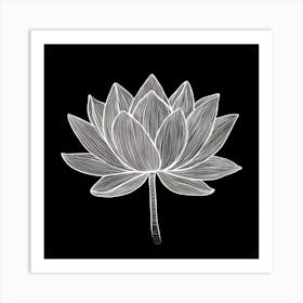 Lotus Flower Art Print