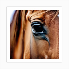 Eye Of A Horse 1 Art Print