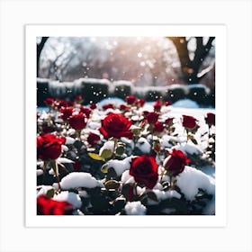 Red Roses in White Snow Art Print