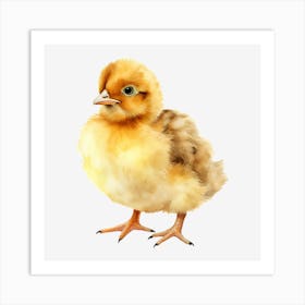 Chicken 9 Art Print