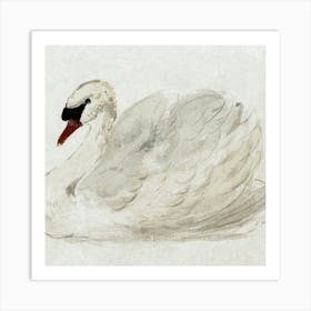 Swan Art Print