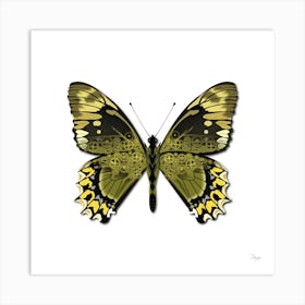 Mechanical Butterfly The Battus Madyes Tucumanus On A White Background Art Print