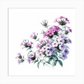 Flowers of Phlox 2 Art Print