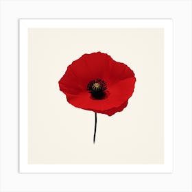 Red Poppy Art Print