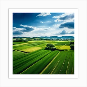 Green Farm Nature Field Landscape Countryside Agriculture Grass Gold Grow Japan Air Plan (6) Art Print