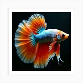 A Stunning Betta Fish Flaring Its Colorful Fins 2 Art Print