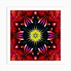 Psychedelic Flower 48 Poster