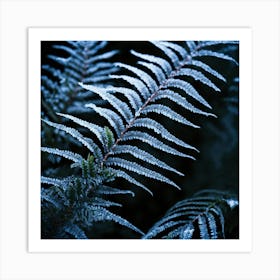 Fern Leaf With Frost Art Print