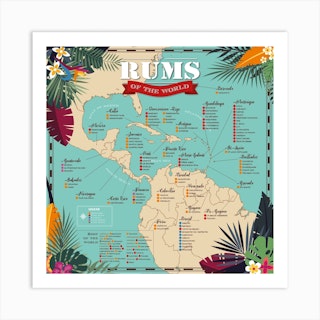 Rums Of The World Square Art Print