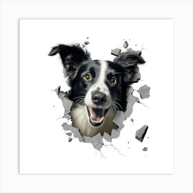 Border Collie 1 Art Print