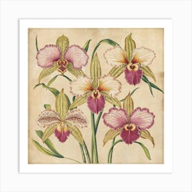 Orchids 2 The overall effect is a timeless and elegant depiction of orchids, reminiscent of classic botanical illustrations, high resolutionLess Art Print